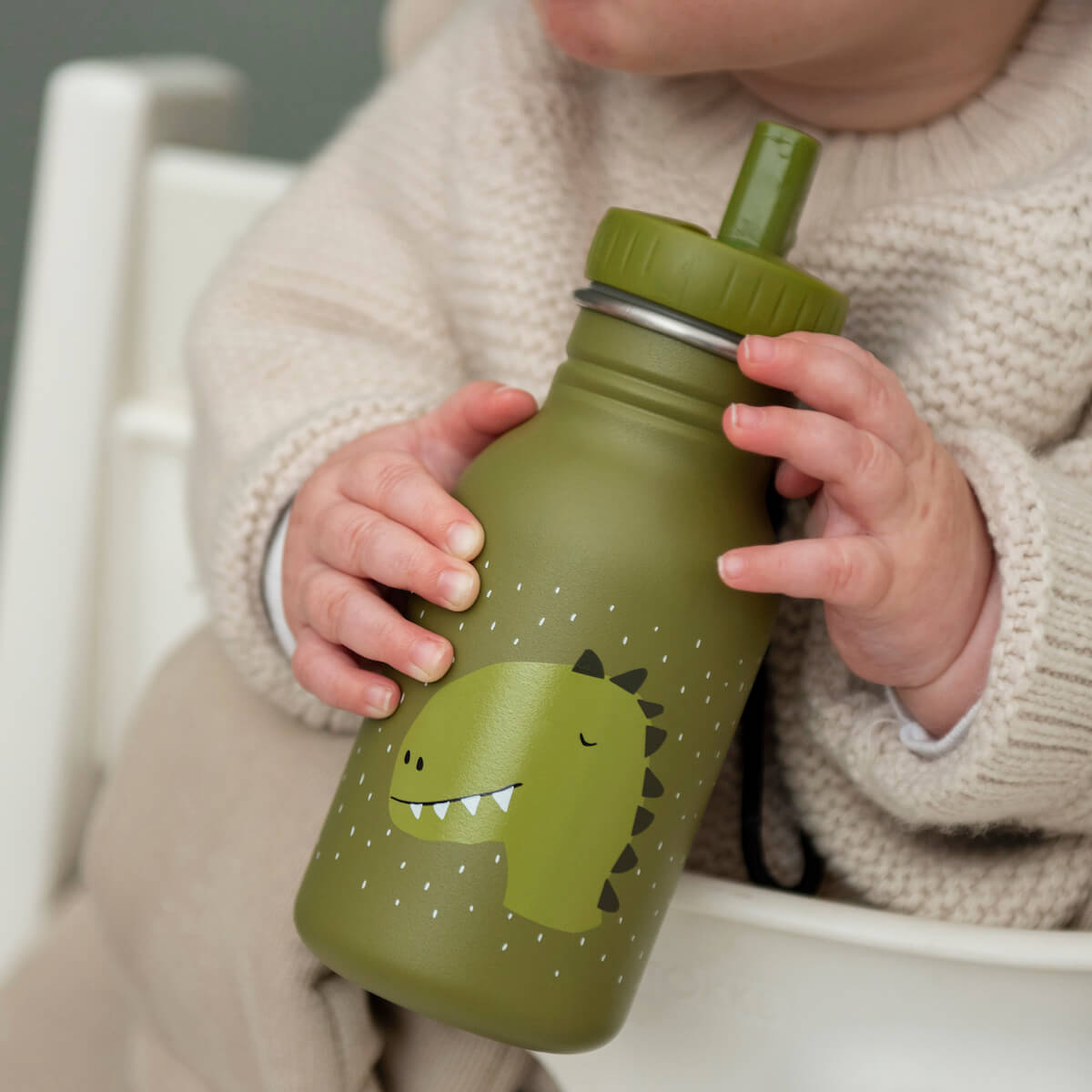 Cantimplora infantil 350ml Mr. DINO Trixie