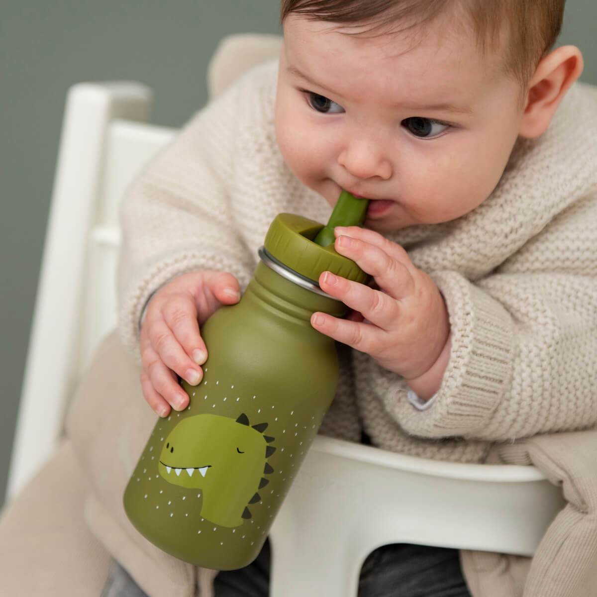 Cantimplora infantil 350ml Mr. DINO Trixie