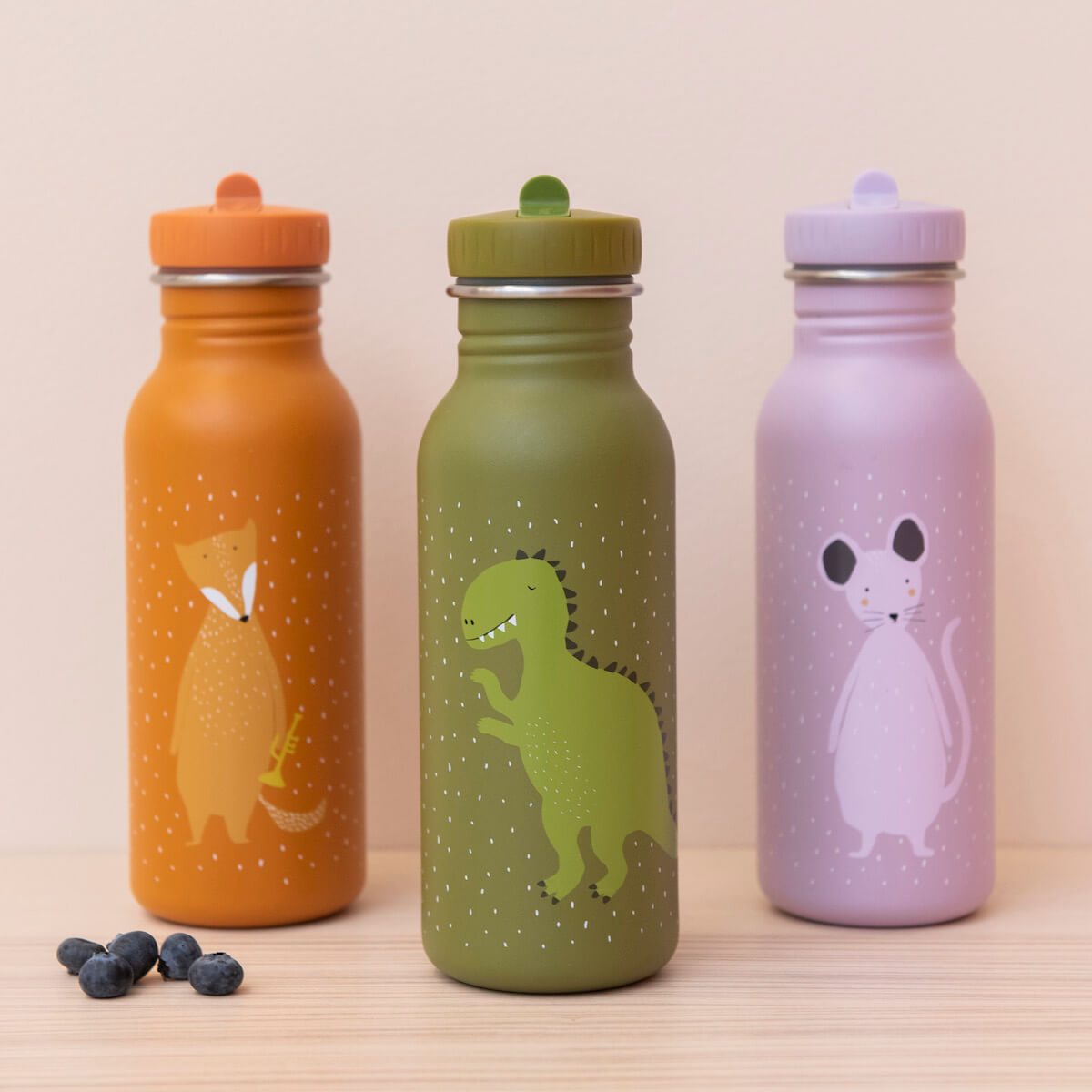 Cantimplora infantil 500ml Mr. DINO Trixie