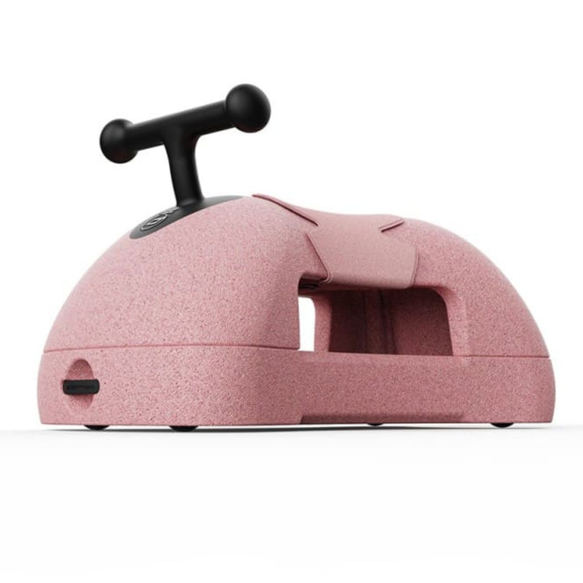 Correpasillos MY FIRST Scoot & Ride rose