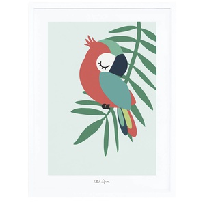 Cuadro 30x40cm LORO Lilipinso verde