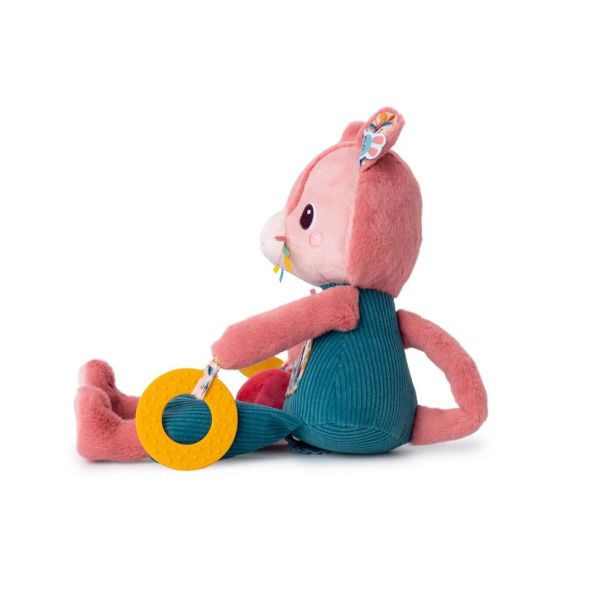 Gato actividades JEANNE Lilliputiens