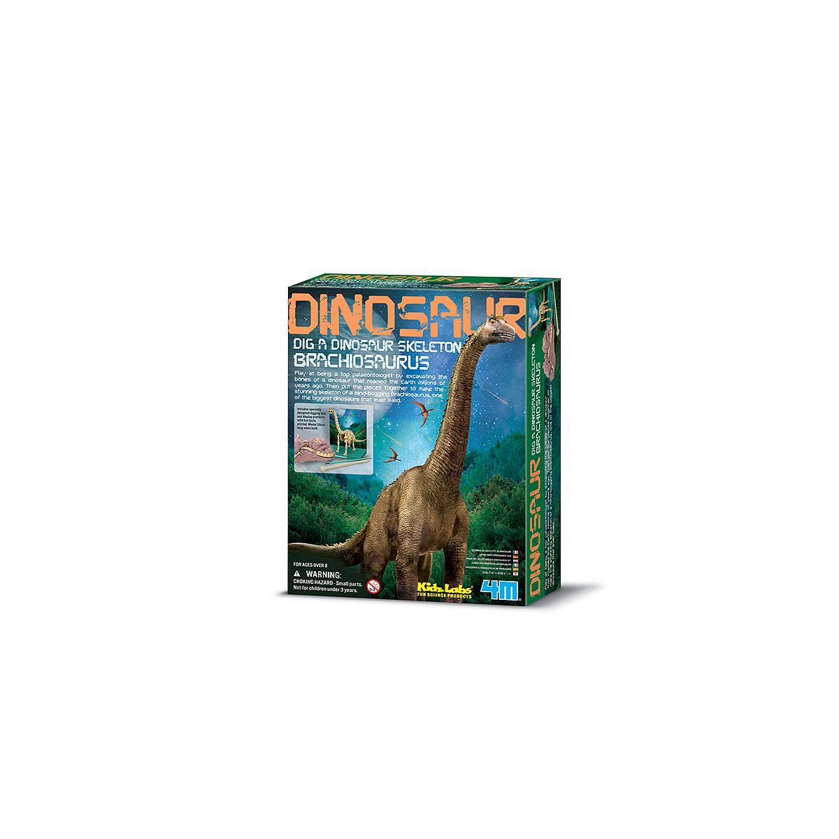 Kit desenterrar esqueleto Brachiosaurus MUNDO ANIMAL 4M