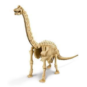 Kit desenterrar esqueleto Brachiosaurus MUNDO ANIMAL 4M