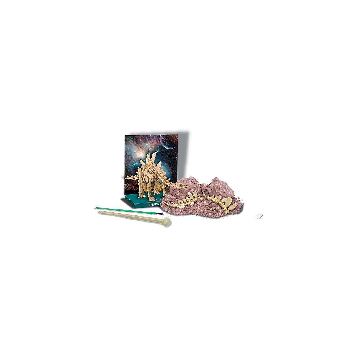 Kit desenterrar esqueleto Stegosaurus MUNDO ANIMAL 4M