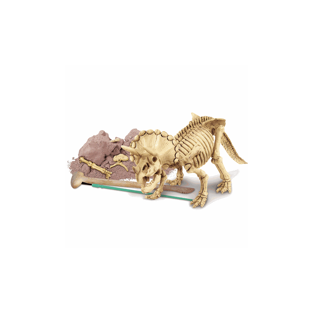 Kit desenterrar esqueleto Triceratops MUNDO ANIMAL 4M