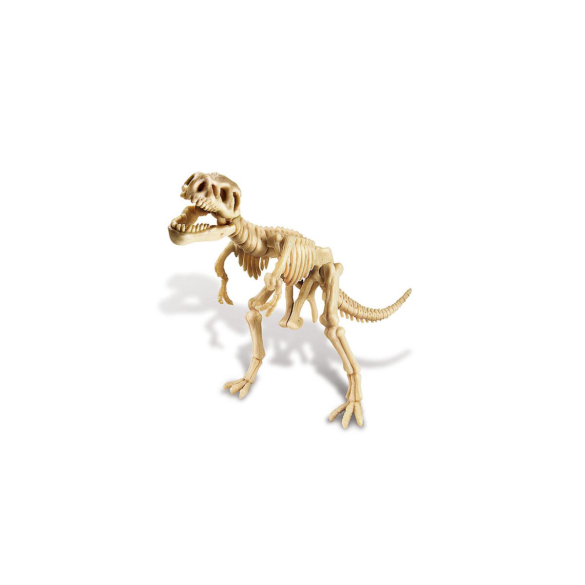 Kit desenterrar esqueleto Tyrannosaurus Rex MUNDO ANIMAL 4M