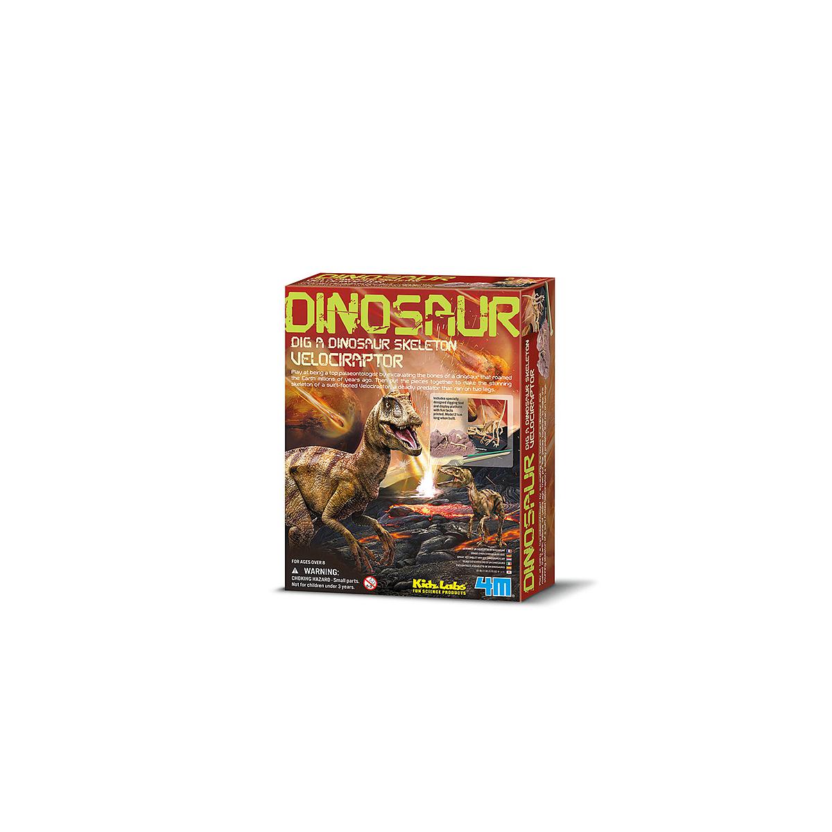 Kit desenterrar esqueleto Velociraptor MUNDO ANIMAL 4M