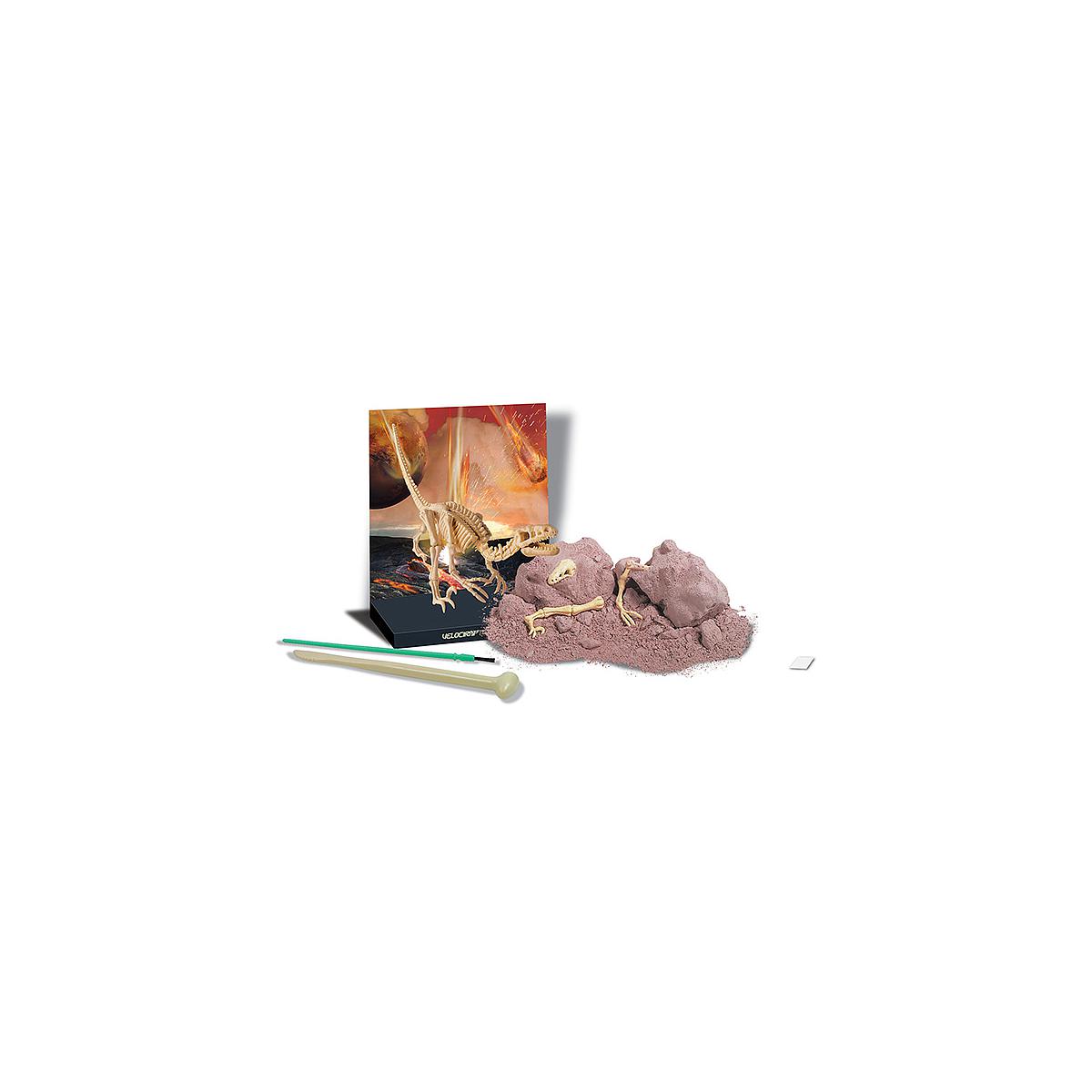 Kit desenterrar esqueleto Velociraptor MUNDO ANIMAL 4M