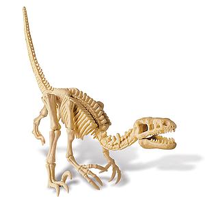 Kit desenterrar esqueleto Velociraptor MUNDO ANIMAL 4M