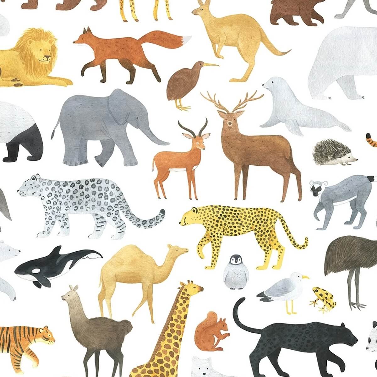 Papel pintado Animales LIVING EARTH Lilipinso