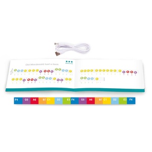 Piano luminoso-taburete LEARN WITH LIGHTS Hape negro