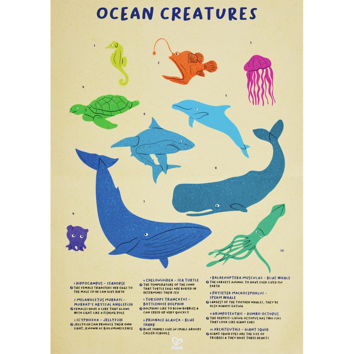 Puzzle suelo 200pzas BALLENA Hape