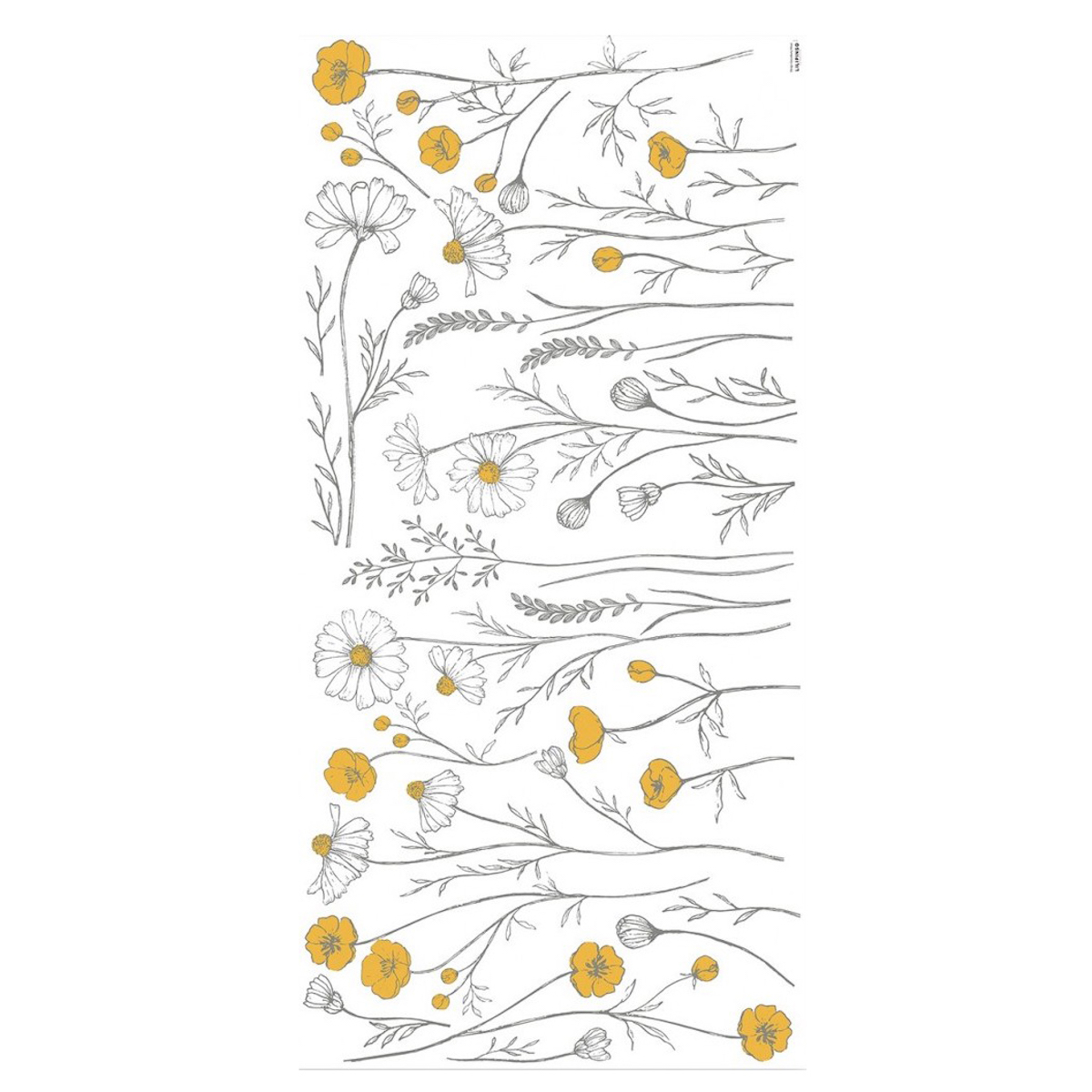 Vinilo mural CHAMOMILE Lilipinso Flores manzanilla