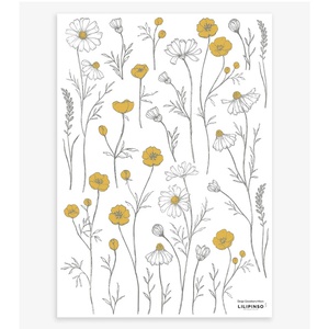 Vinilo mural Flores manzanilla CHAMOMILE Lilipinso